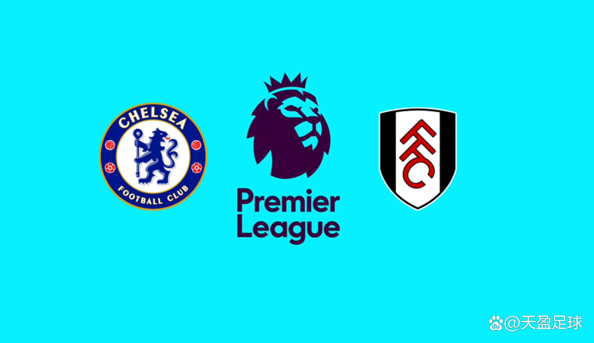 博彩业与酒店管理学院合作项目